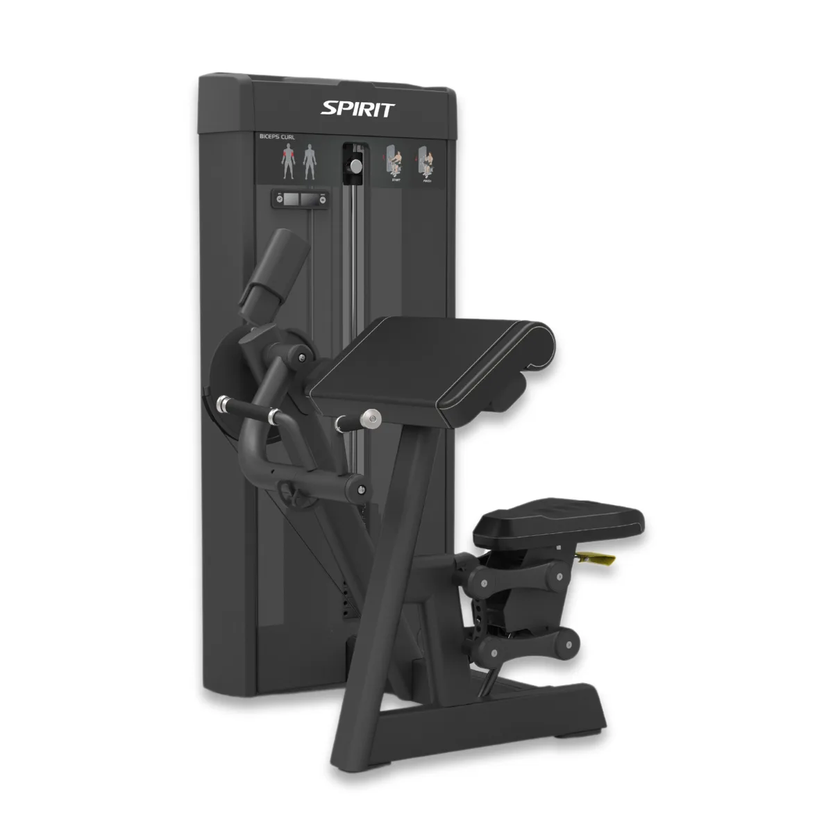 Biceps Curl