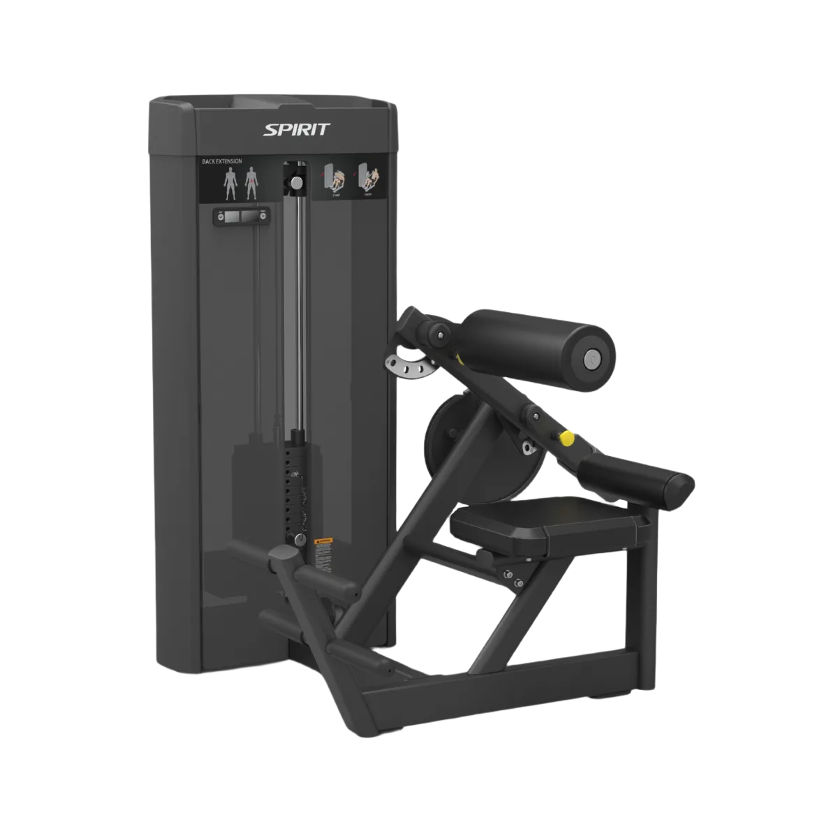 Back Extension