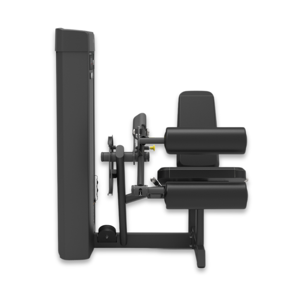 Seated Leg Curl